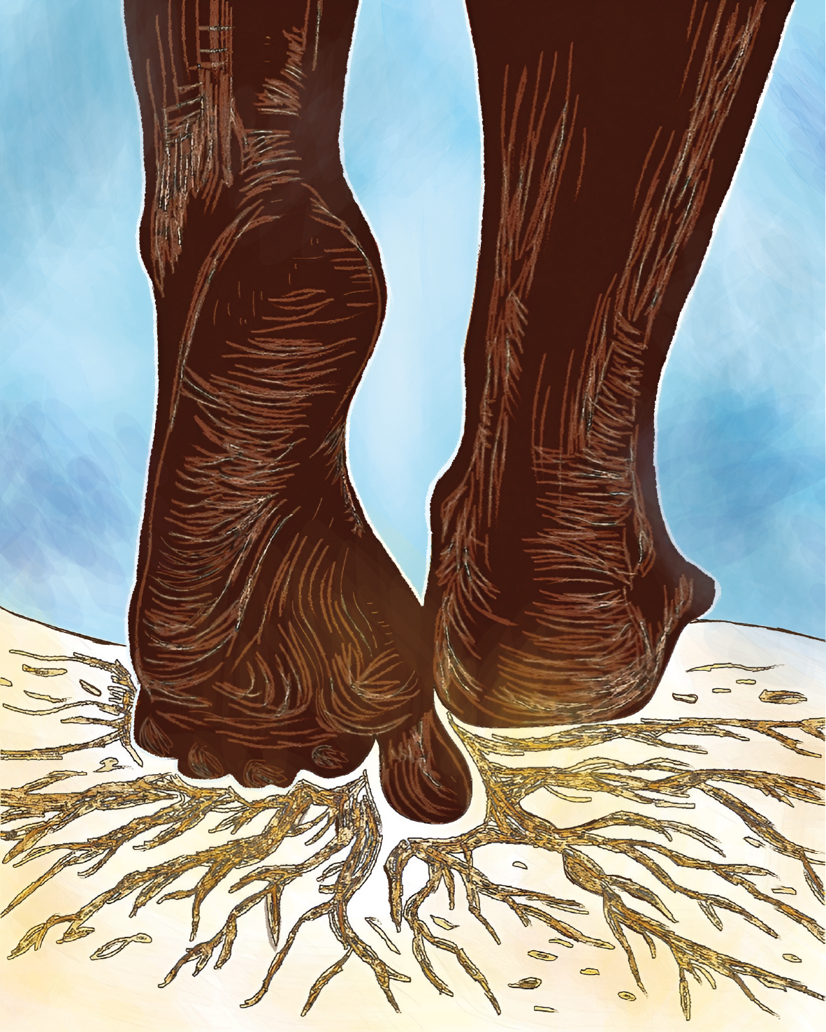 Illustration 4